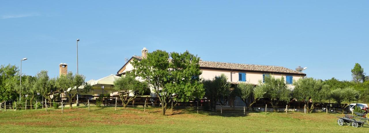 Bed&Breakfast Monte Rosso Poreč Zewnętrze zdjęcie